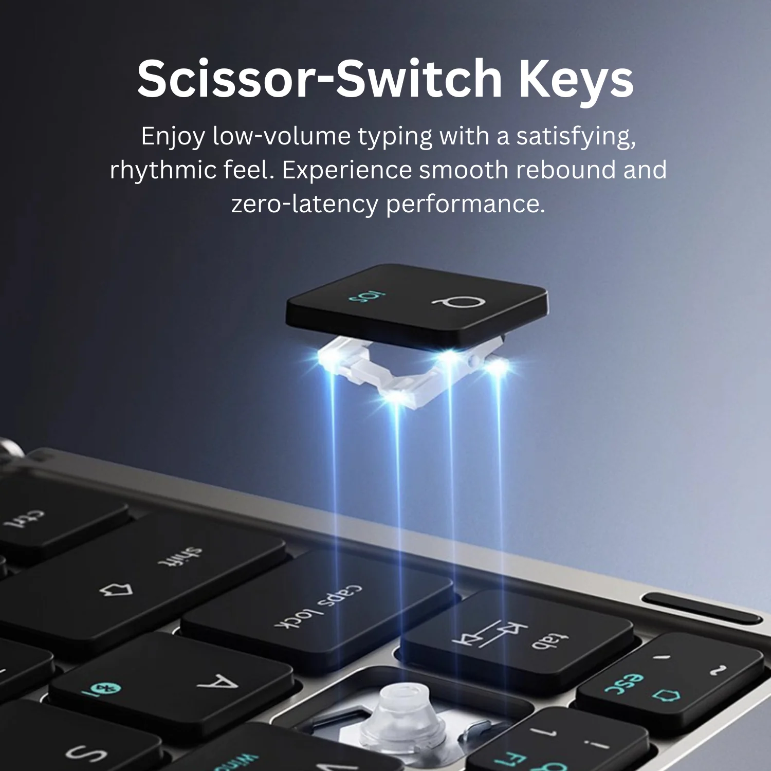 Go-Type Pro - Image 5
