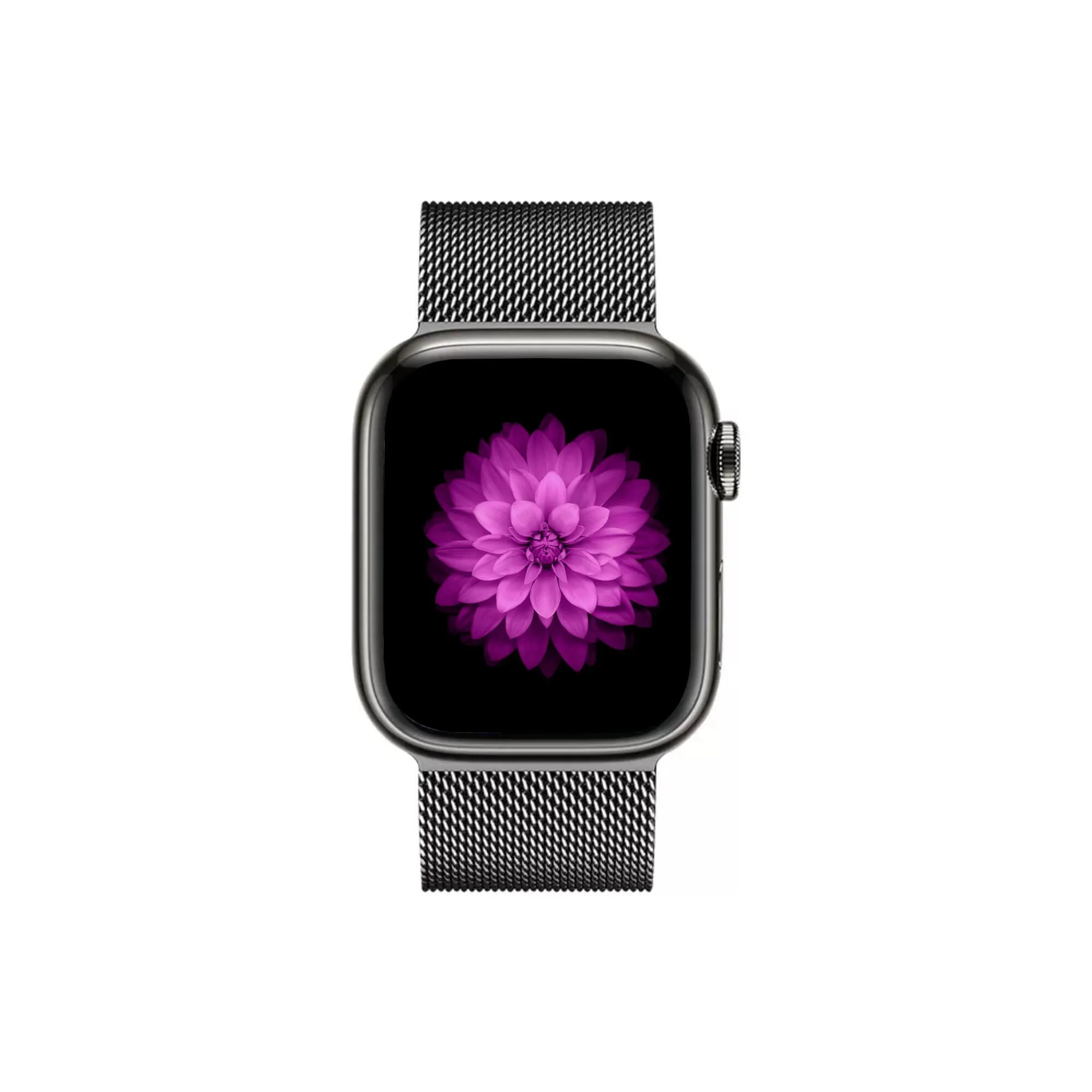 Nexus Band - Image 22
