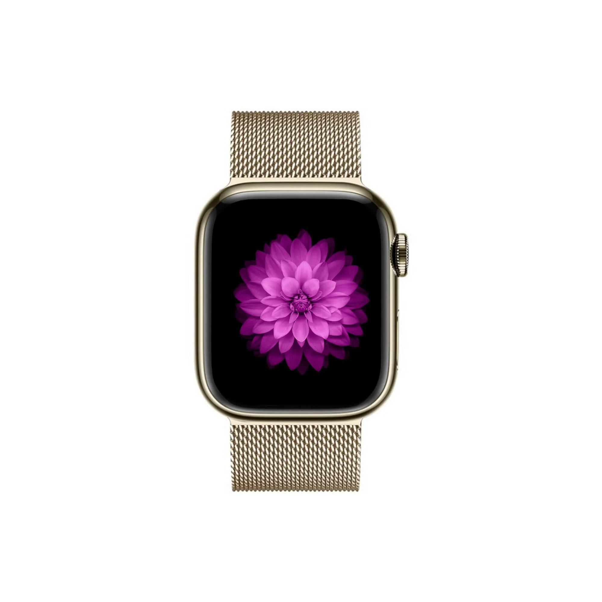 Nexus Band - Image 23